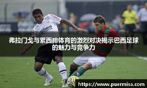 弗拉门戈与累西腓体育的激烈对决揭示巴西足球的魅力与竞争力
