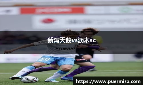 新泻天鹅vs沥木sc